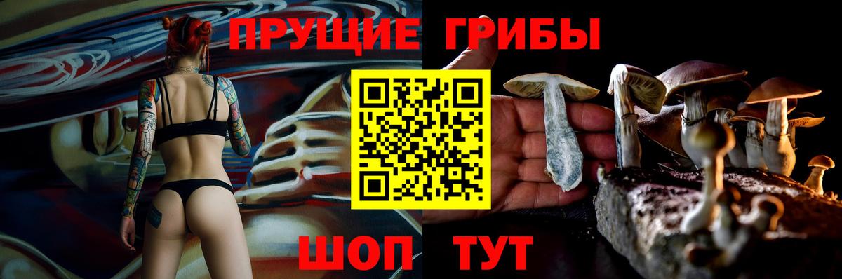 Галлюциногенные грибы GOLDEN TEACHER  Галлюциногенные грибы Cubensis  Вход с VPN  Крымск 